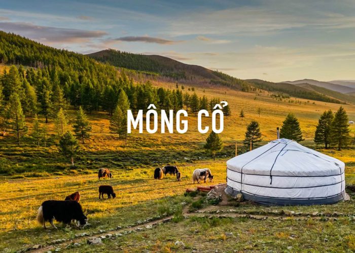 Tour Mông Cổ - Bản tình ca du mục 8N7Đ