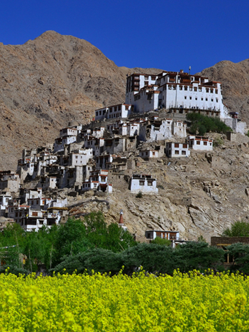 Tour LADAKH - Khám phá tiểu Tây Tạng trên đất Ấn