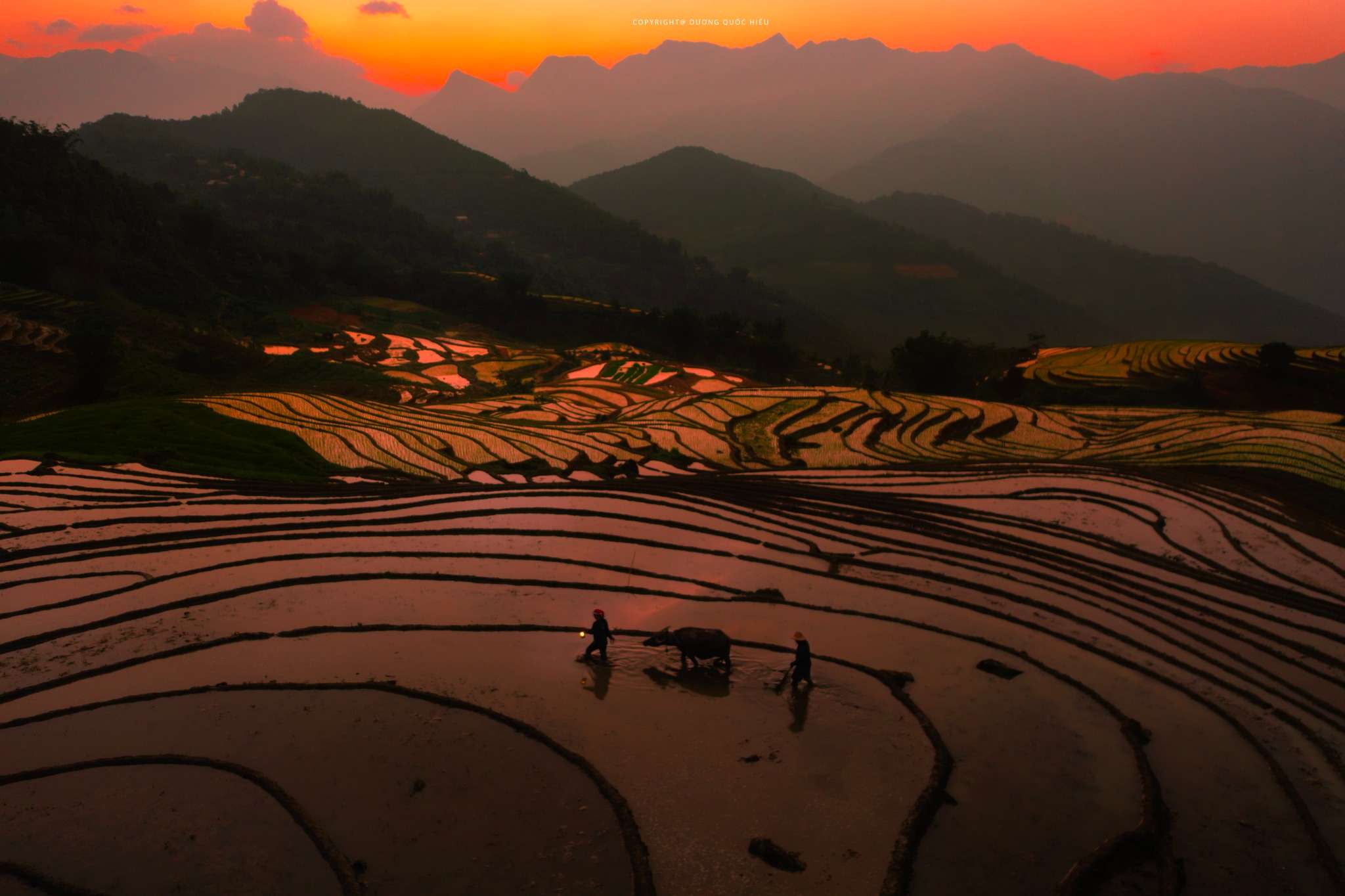 Ruộng bậc thang Mường Hoa Sa Pa đổ nước mùa hè, mặt ruộng phản chiếu trời mây