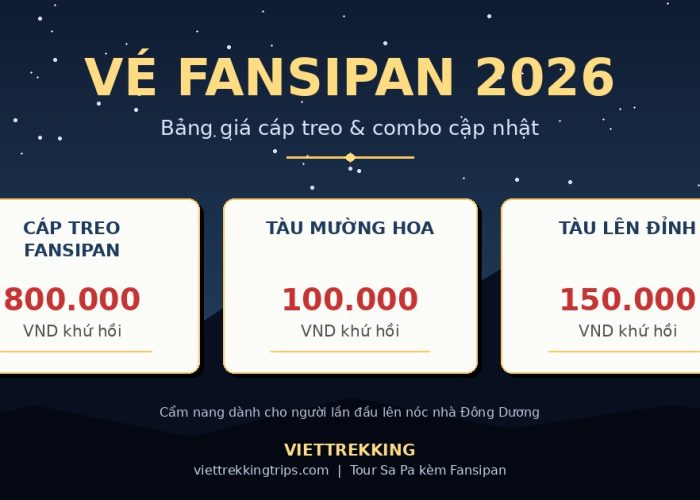 Bảng giá vé Fansipan 2026 cáp treo Mường Hoa và tàu lên đỉnh