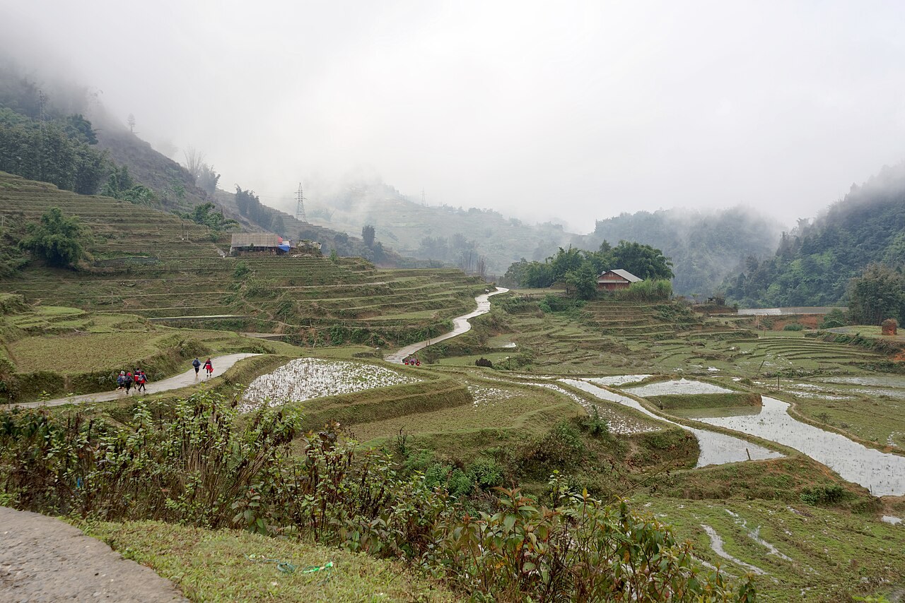 Ruộng bậc thang Sa Pa trên cung đường nối Mù Cang Chải Ruộng bậc thang thung lũng Mường Hoa Sa Pa tỉnh Lào Cai nhìn từ trên cao