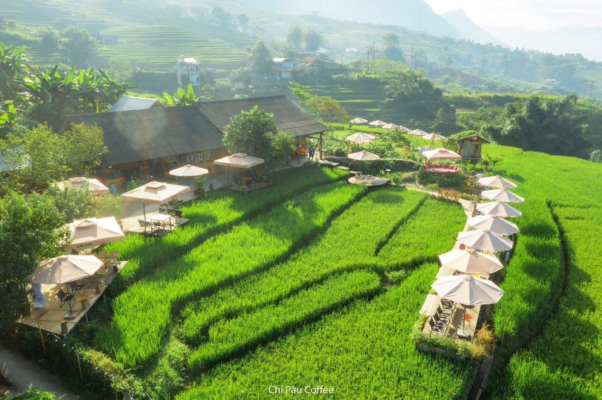 View ngắm lúa tại Tả Van Sa Pa