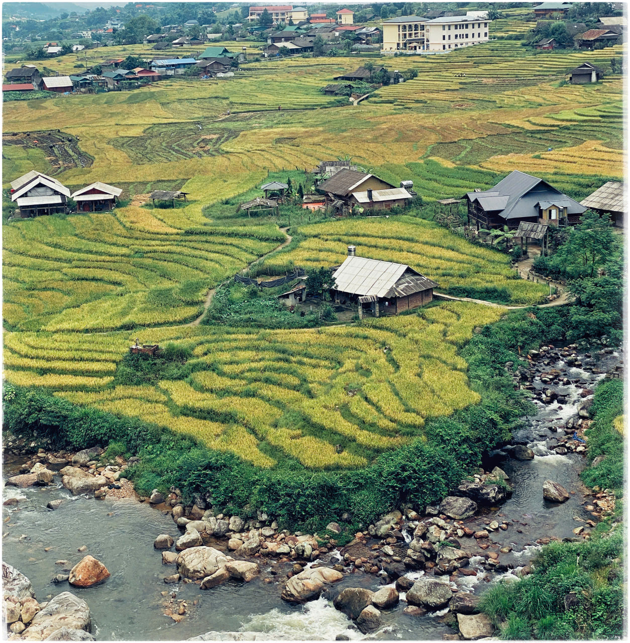 Lao Chải Tả Van ruộng bậc thang Sa Pa, trekking ngày 3 tour 3N2Đ